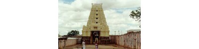 074. திருச்சிங்கவேள்குன்றம்